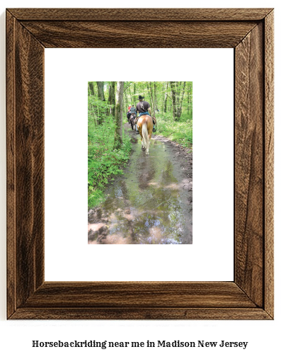 horseback riding near me in Madison, New Jersey